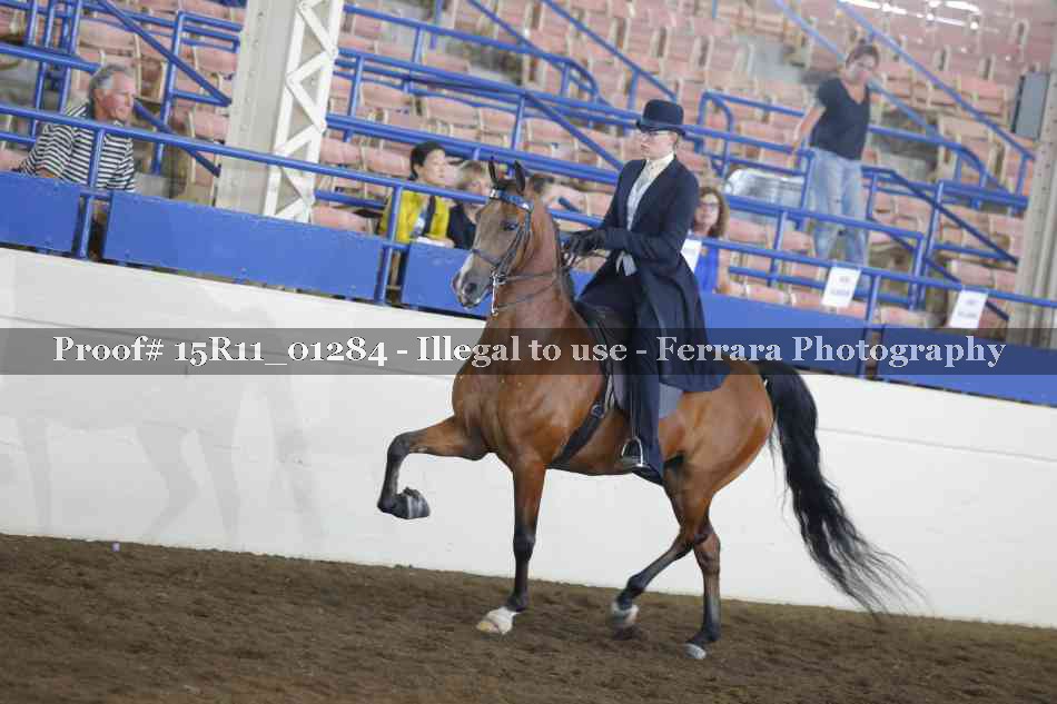Proof 15R11_01284