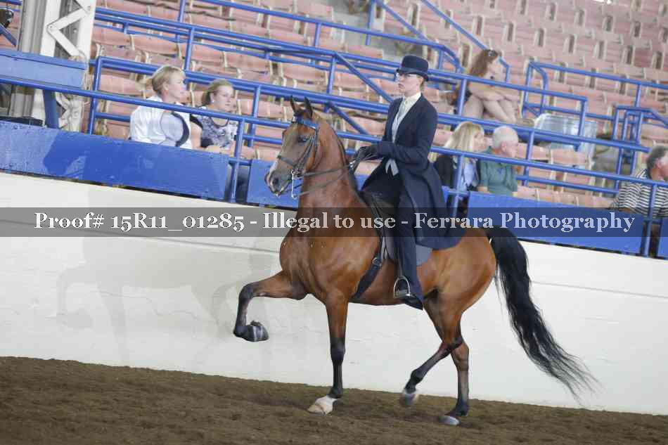 Proof 15R11_01285