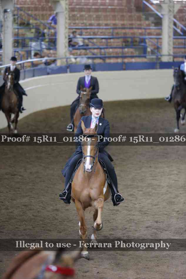 Proof 15R11_01286