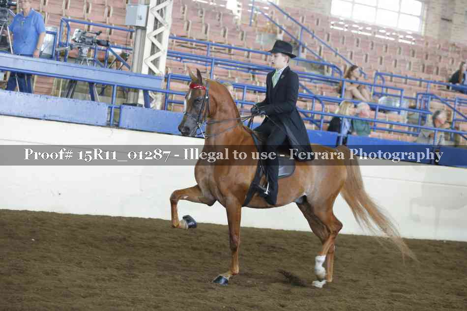Proof 15R11_01287