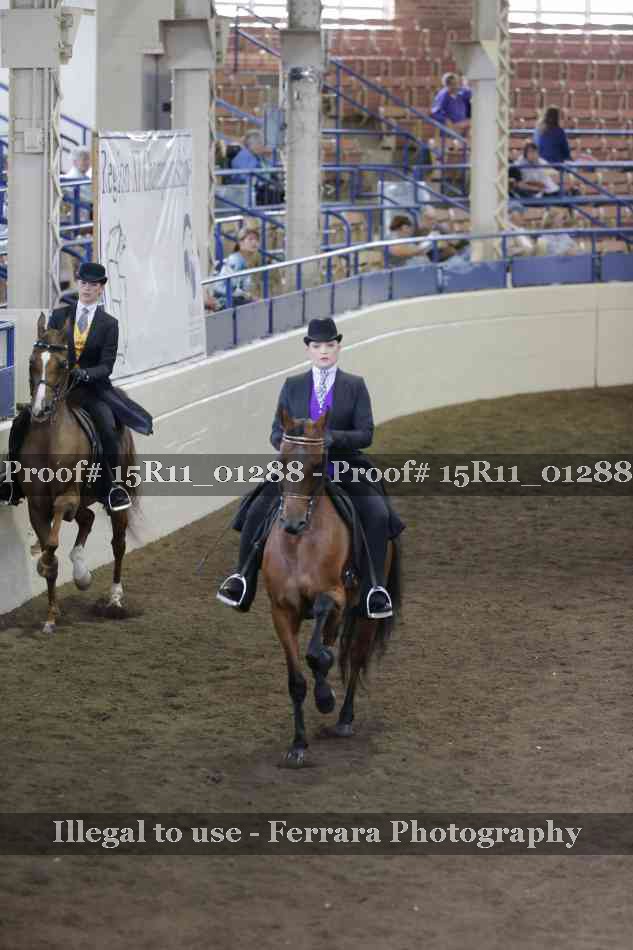 Proof 15R11_01288