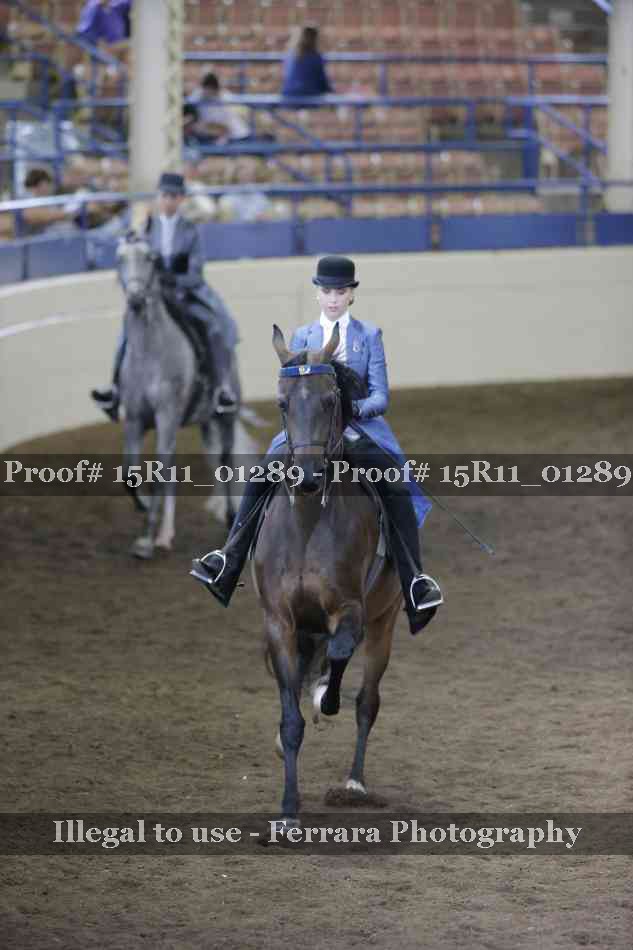 Proof 15R11_01289