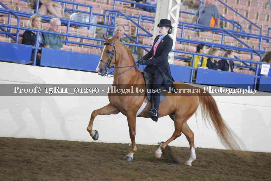 Proof 15R11_01290