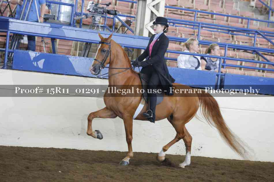 Proof 15R11_01291