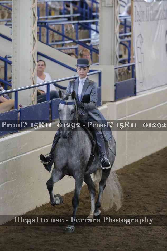 Proof 15R11_01292