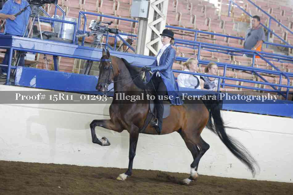 Proof 15R11_01293