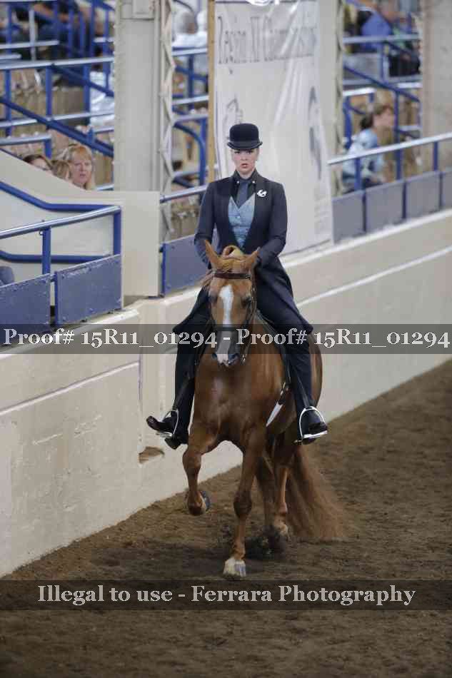 Proof 15R11_01294