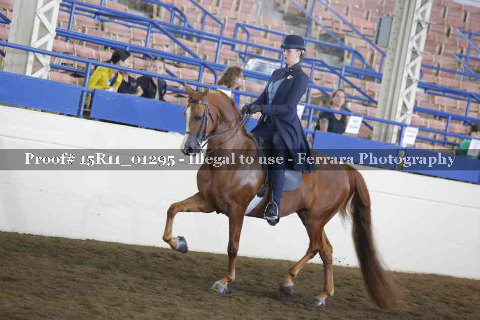 Proof 15R11_01295
