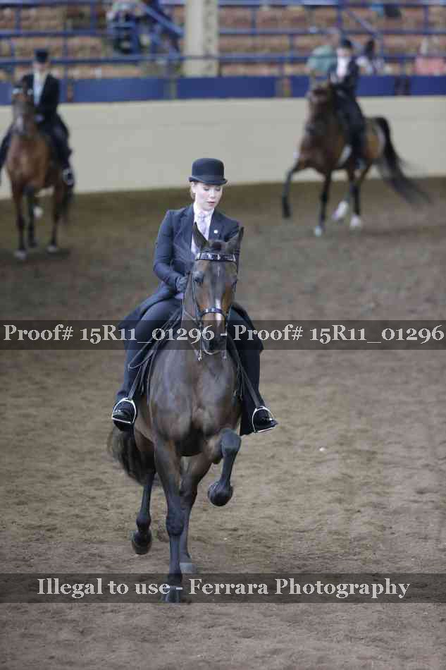Proof 15R11_01296