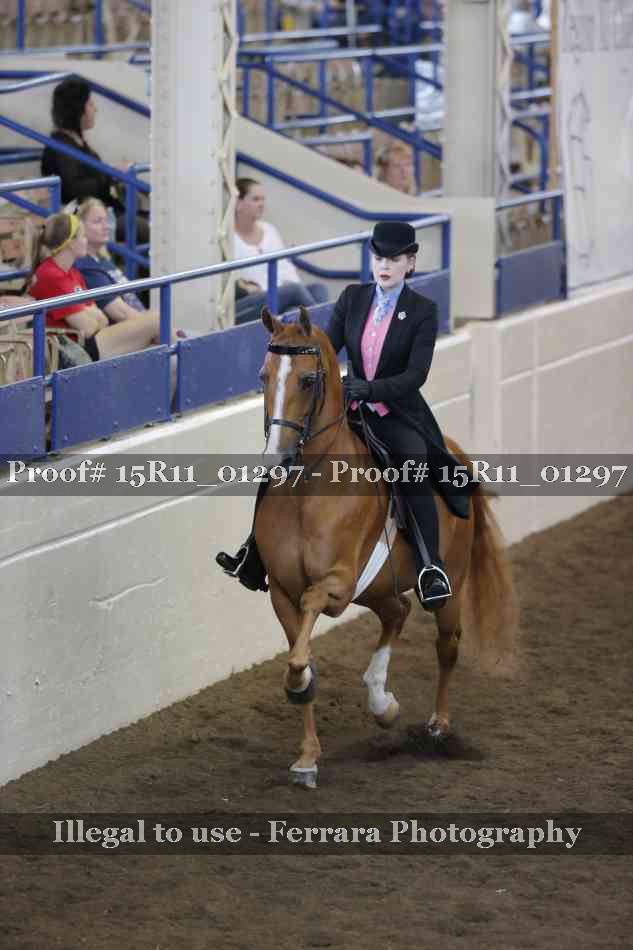 Proof 15R11_01297