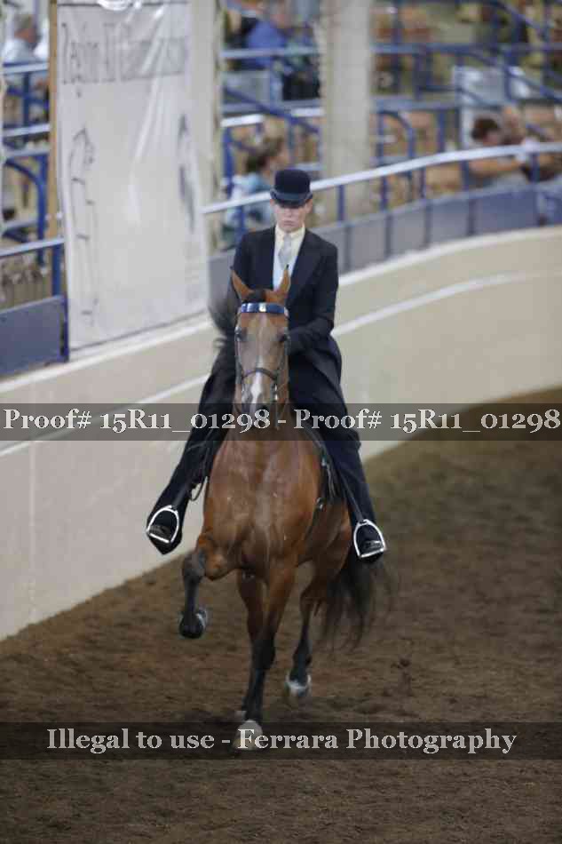 Proof 15R11_01298