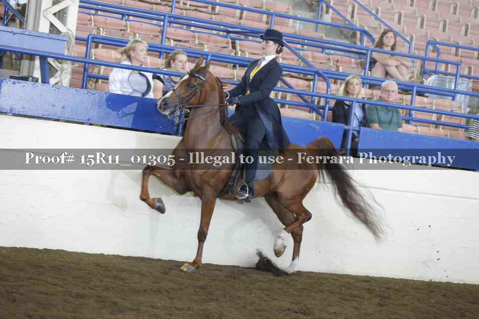 Proof 15R11_01305