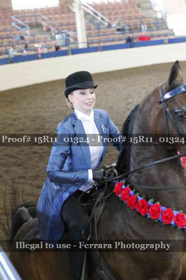 Proof 15R11_01324