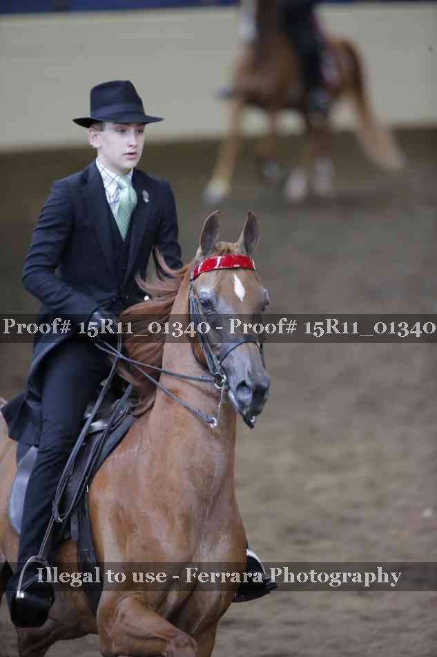 Proof 15R11_01340
