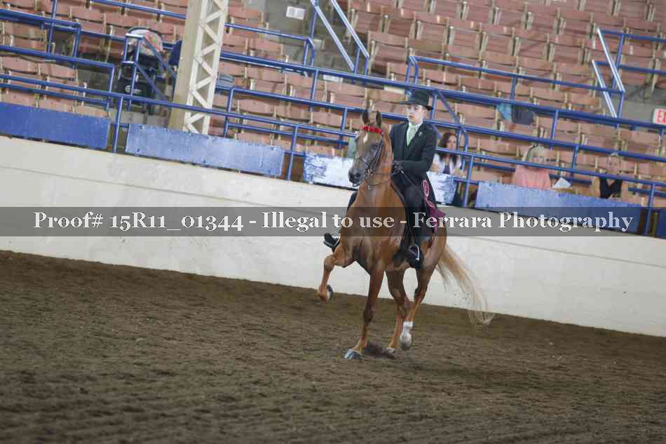 Proof 15R11_01344