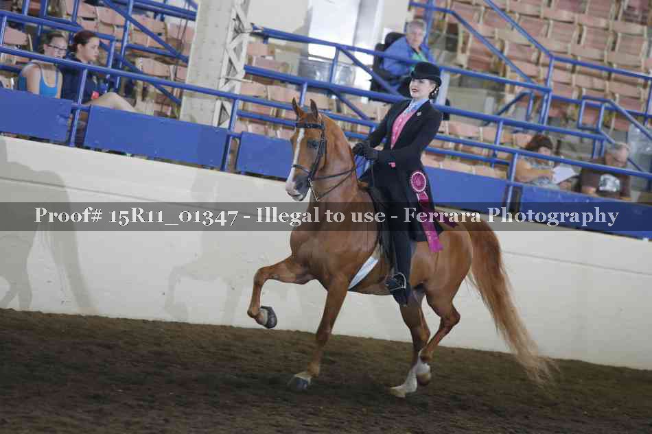 Proof 15R11_01347