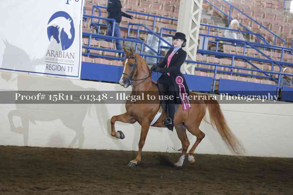 Proof 15R11_01348
