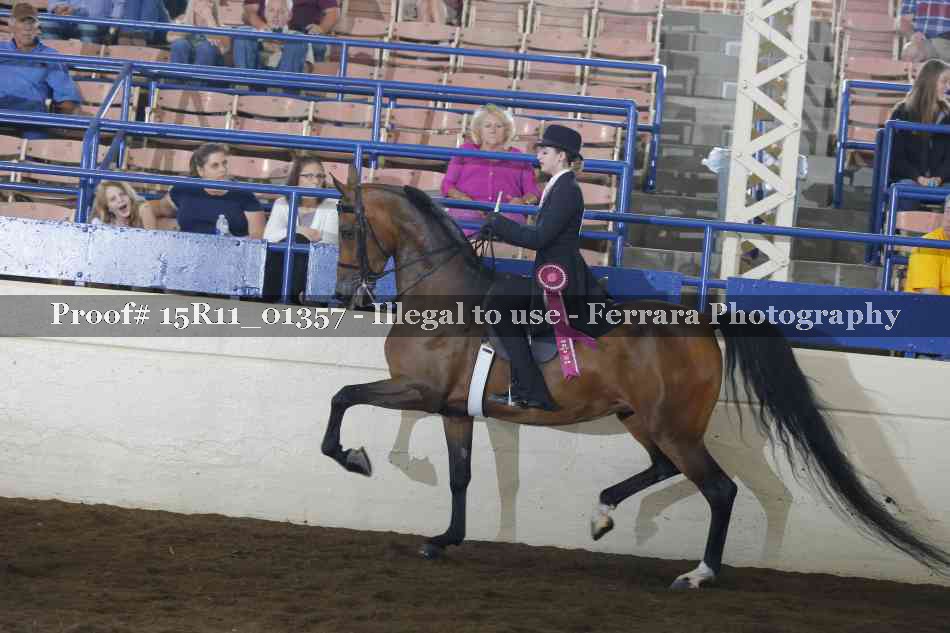 Proof 15R11_01357