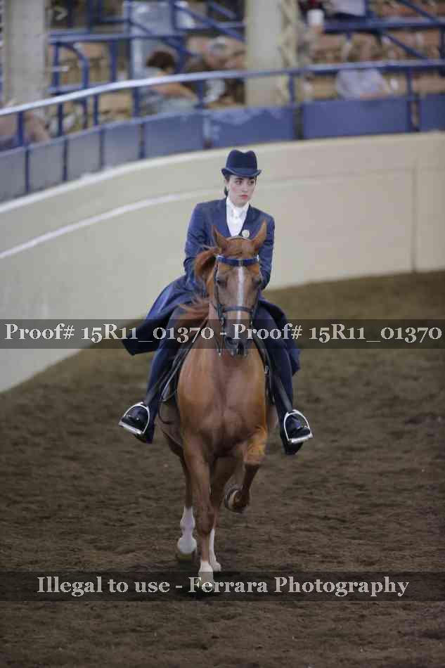Proof 15R11_01370
