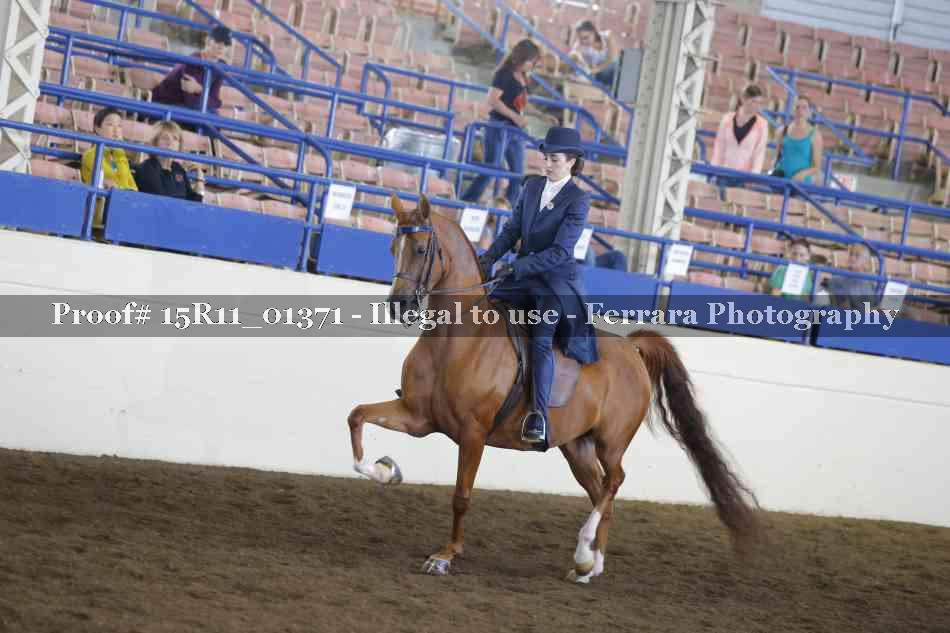Proof 15R11_01371