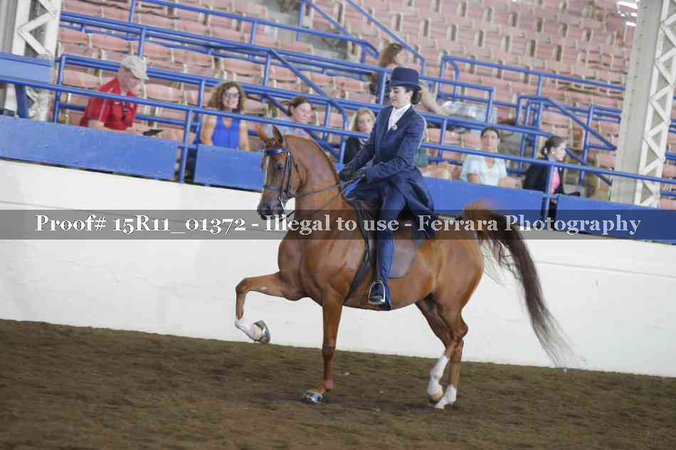 Proof 15R11_01372
