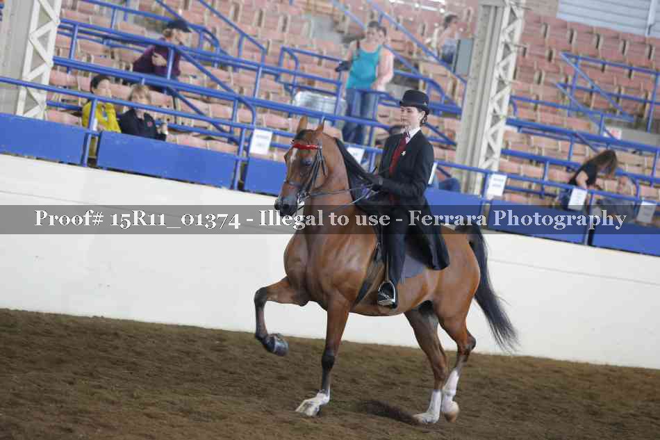 Proof 15R11_01374