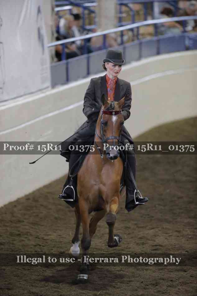 Proof 15R11_01375