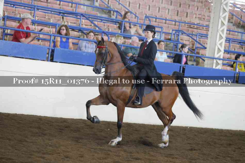 Proof 15R11_01376
