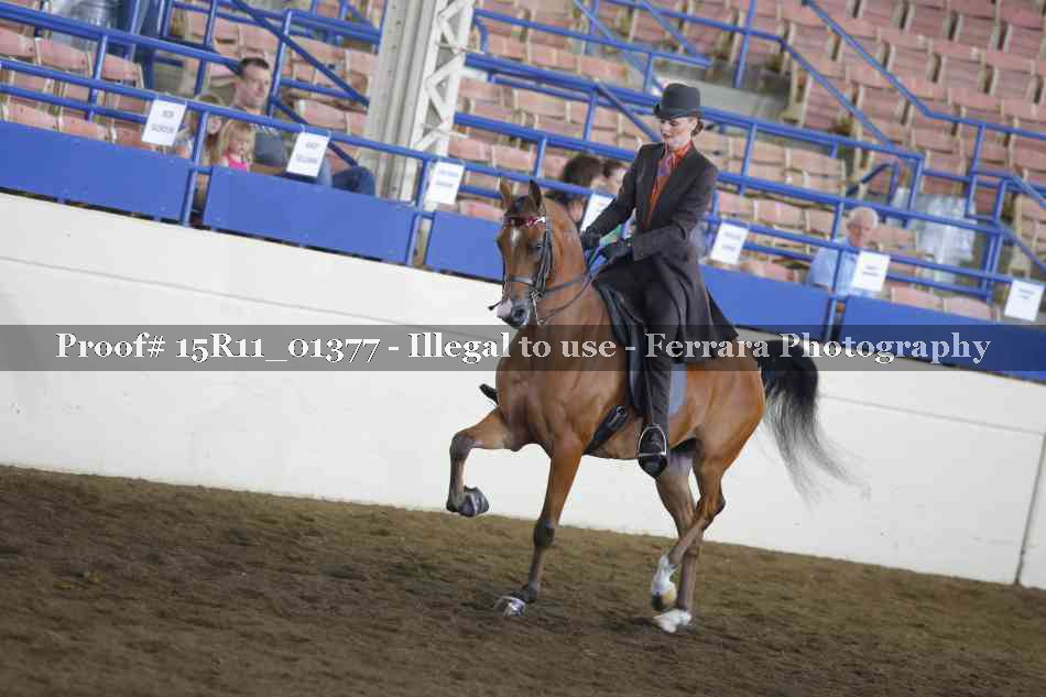 Proof 15R11_01377