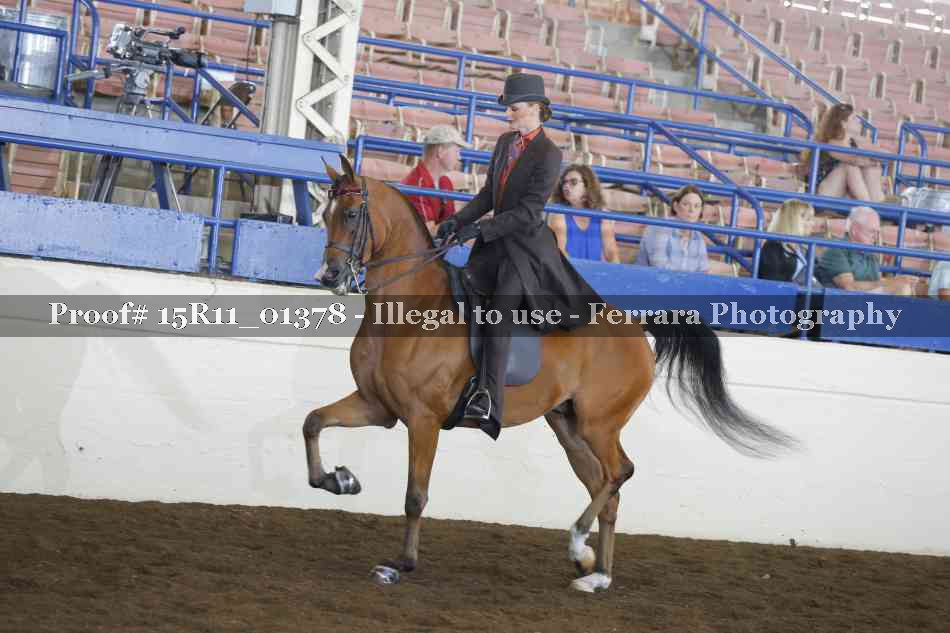 Proof 15R11_01378