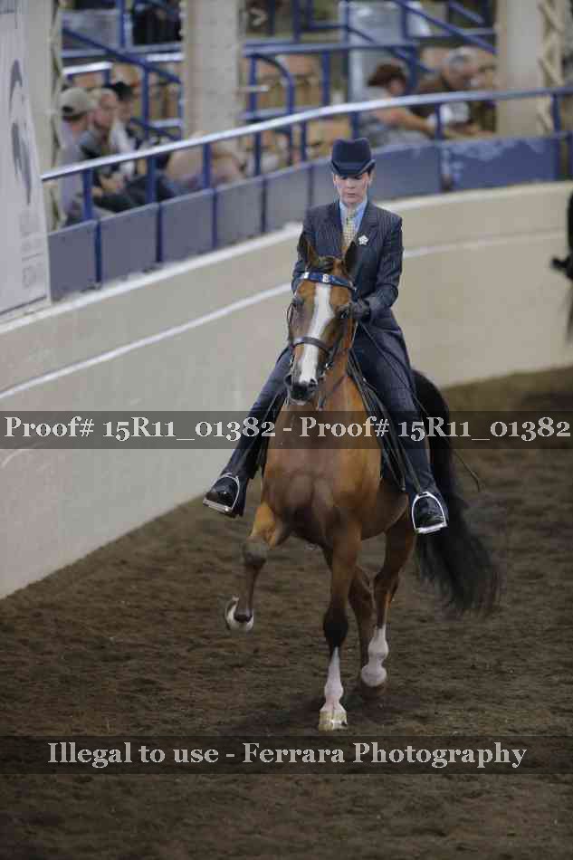Proof 15R11_01382