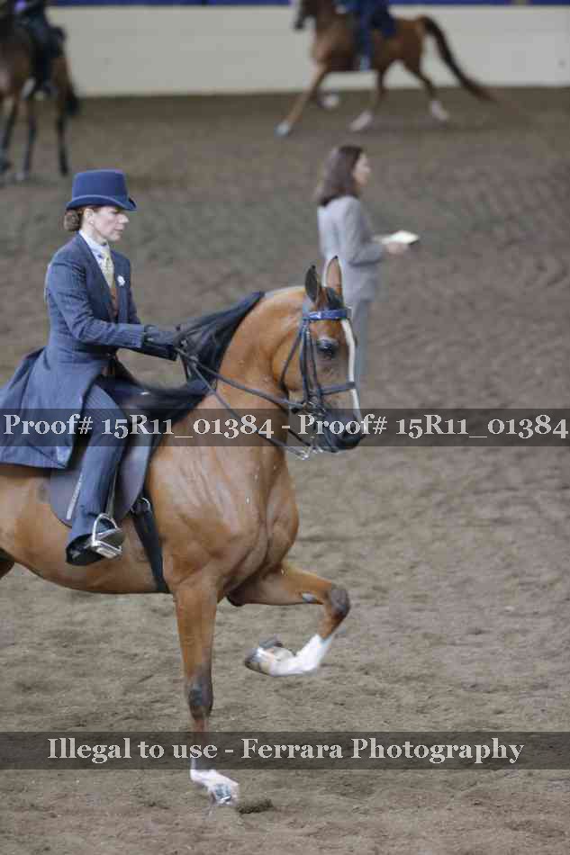 Proof 15R11_01384