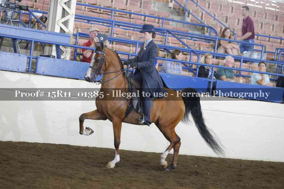 Proof 15R11_01385