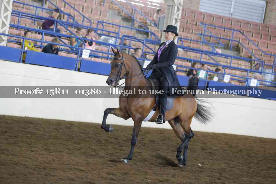 Proof 15R11_01386