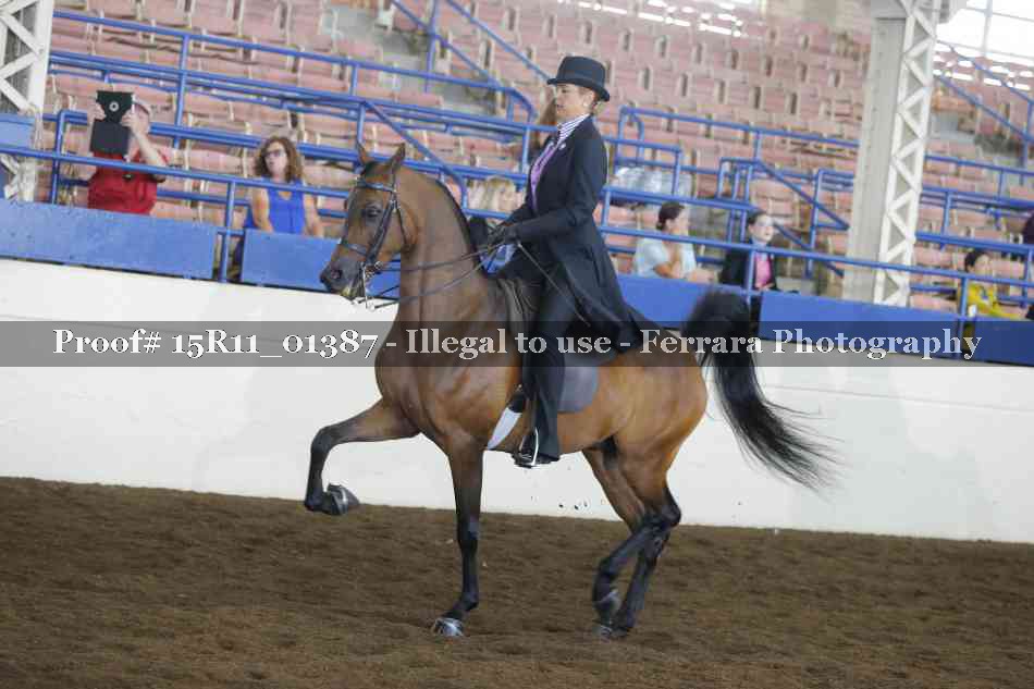 Proof 15R11_01387