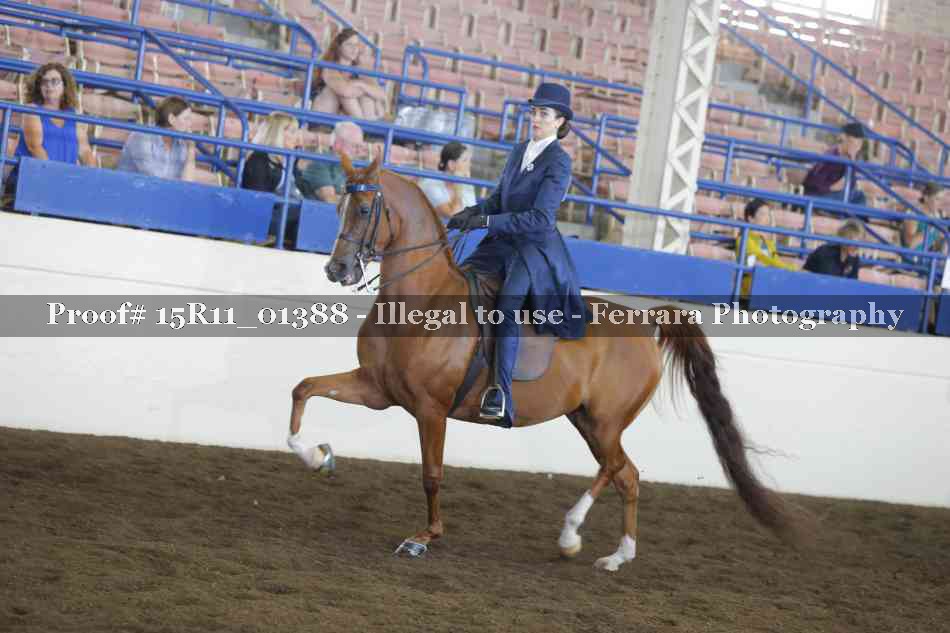 Proof 15R11_01388