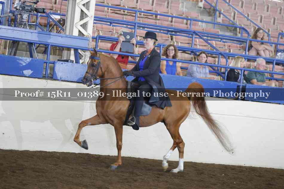 Proof 15R11_01389
