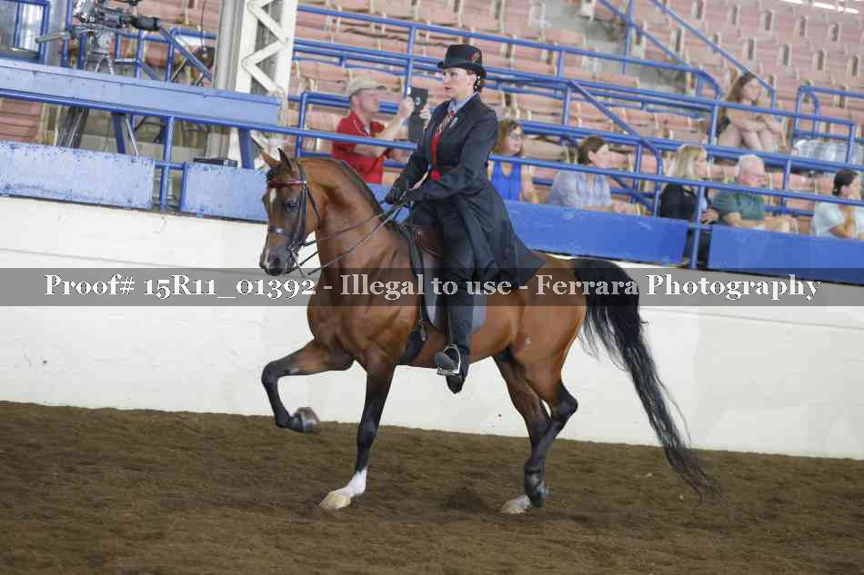 Proof 15R11_01392