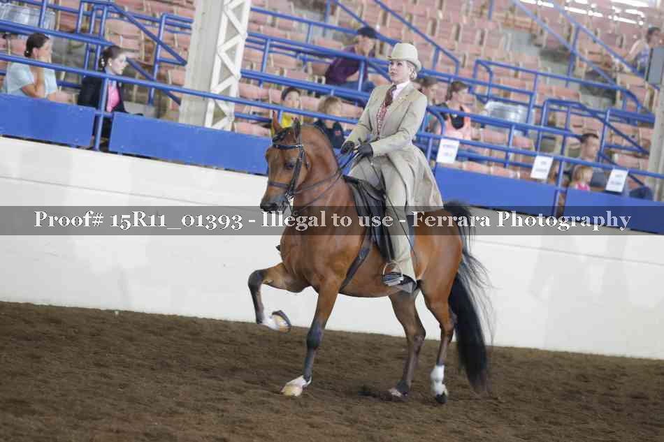 Proof 15R11_01393