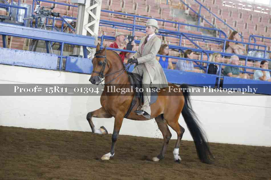Proof 15R11_01394