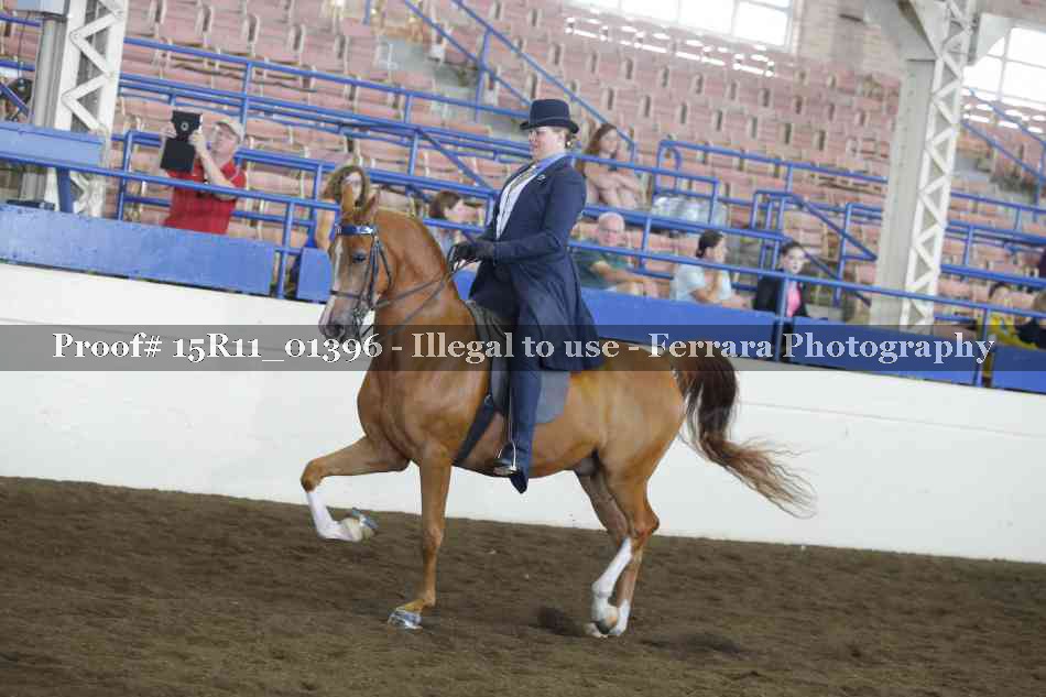 Proof 15R11_01396
