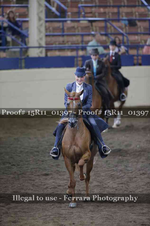 Proof 15R11_01397