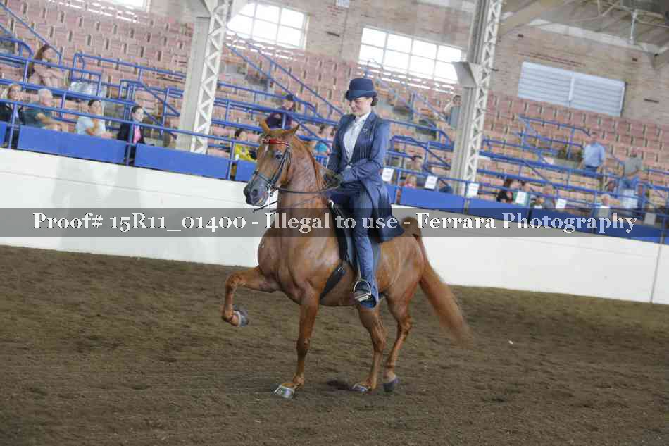 Proof 15R11_01400
