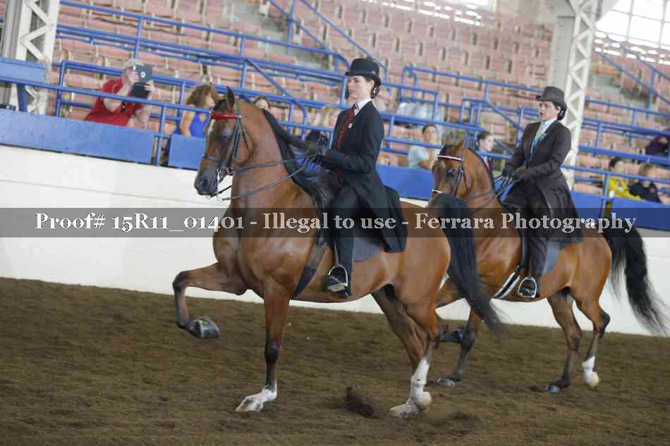 Proof 15R11_01401