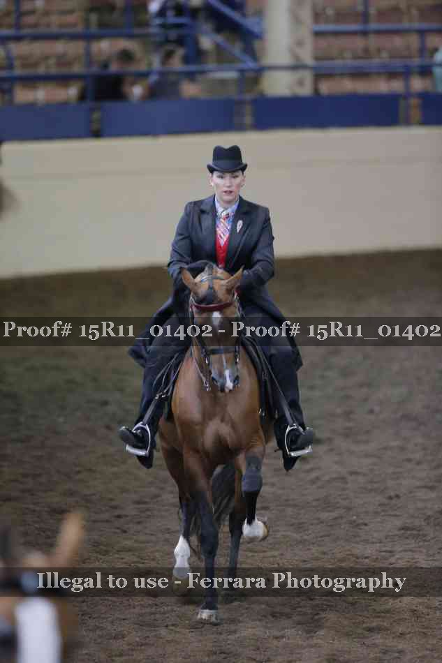 Proof 15R11_01402