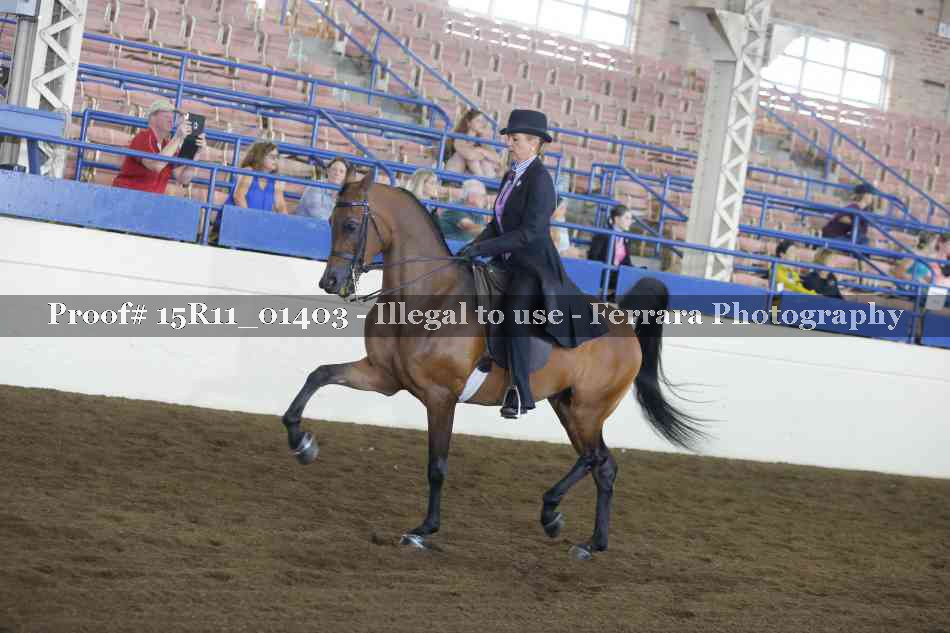 Proof 15R11_01403
