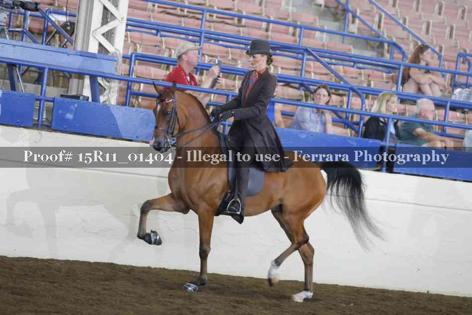 Proof 15R11_01404