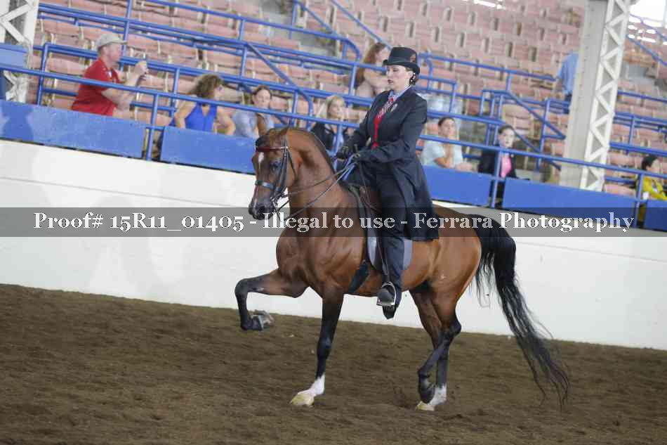 Proof 15R11_01405