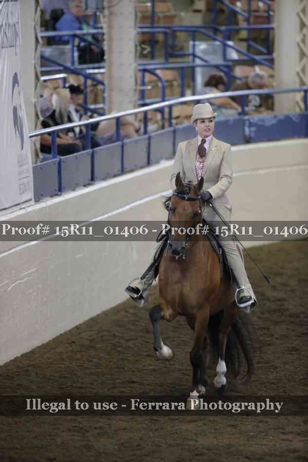Proof 15R11_01406