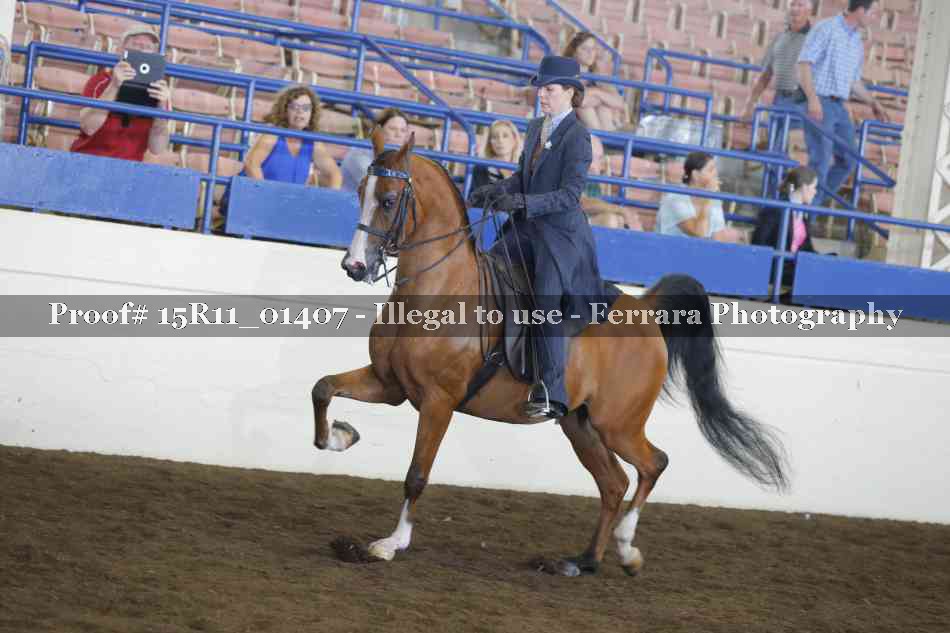 Proof 15R11_01407